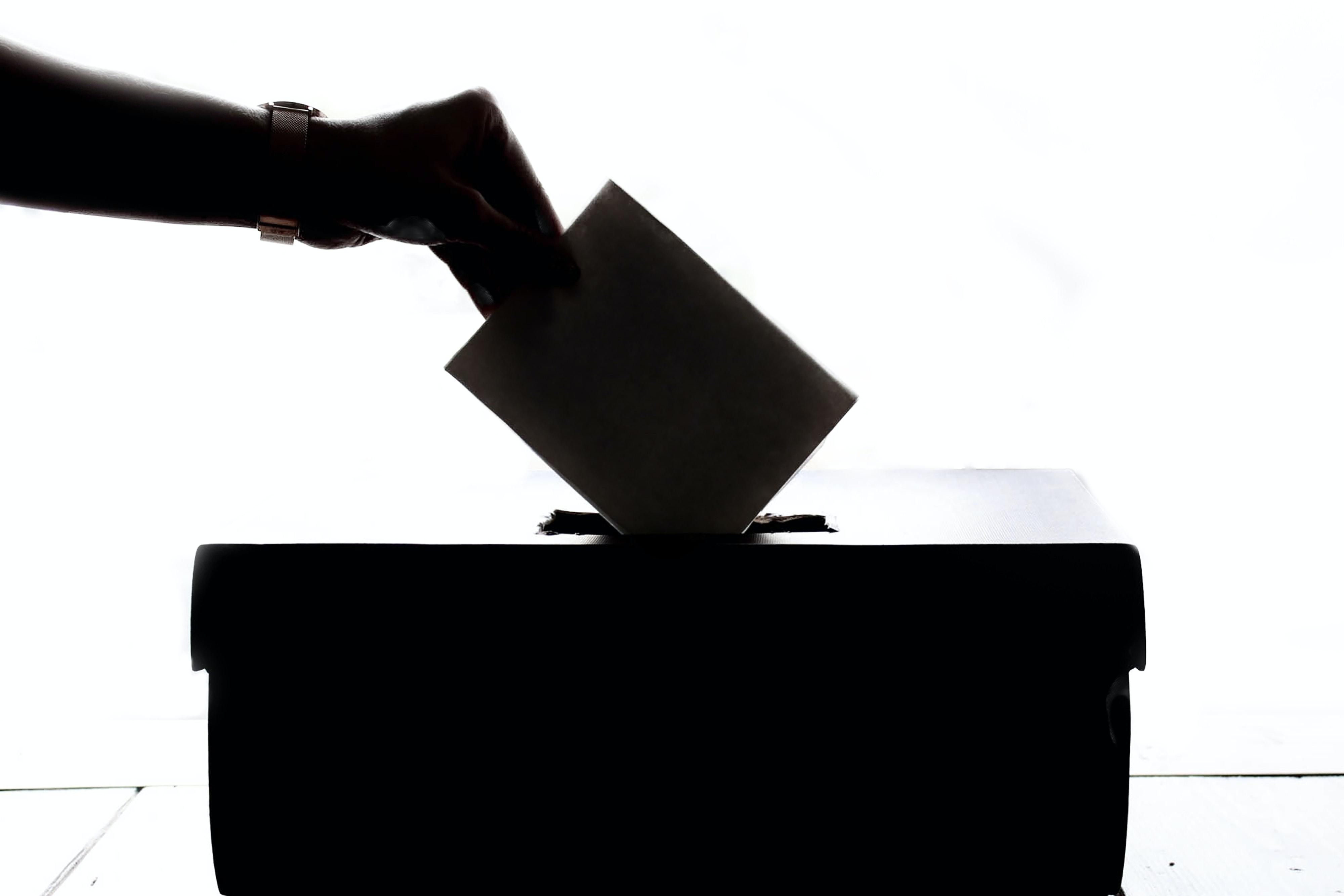 Imatge de recurs d'una persona votant