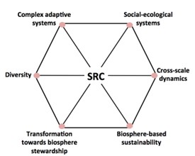 Pensament sistèmic i resiliència SRC
