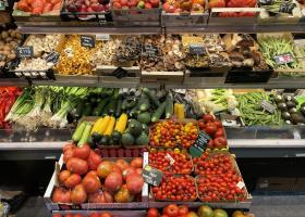 Foto blog Seguretat Social Alimentària