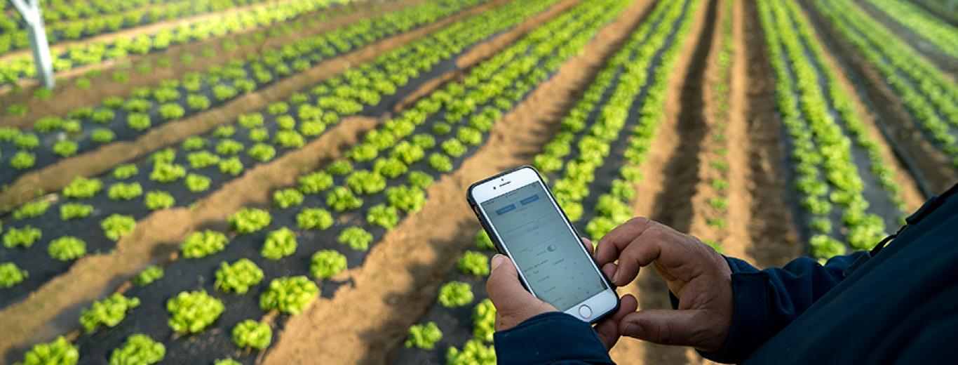 Imatge BCN Smart Rural