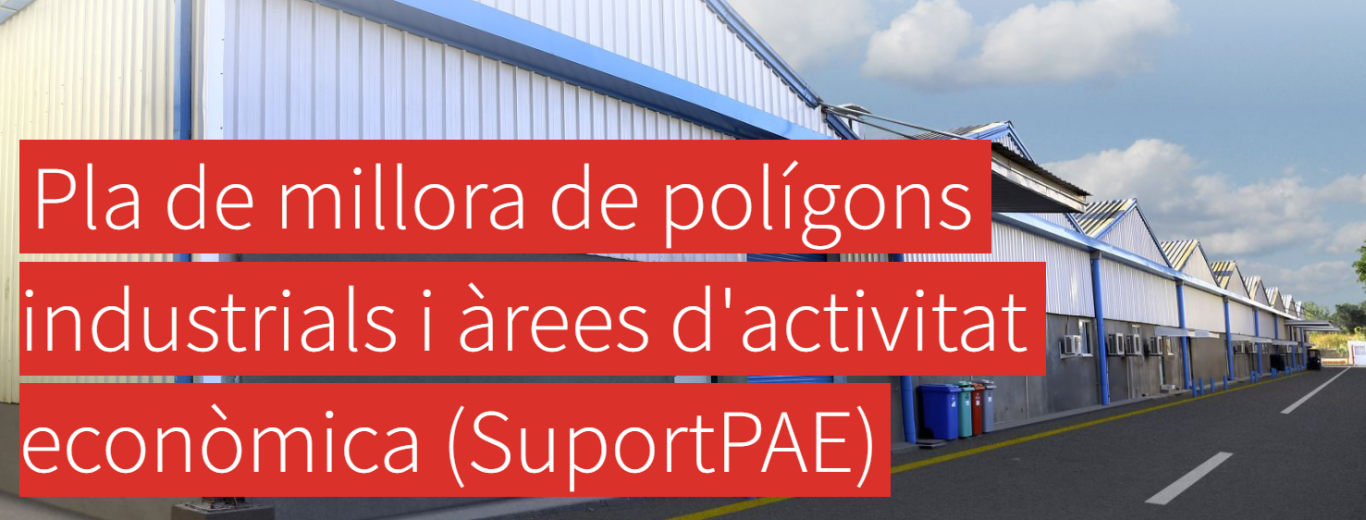 Imatge Suport PAE