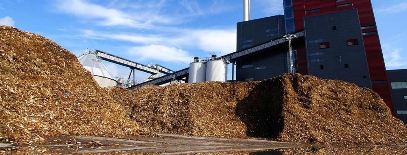 Indústries per l’acció climàtica i la inserció social