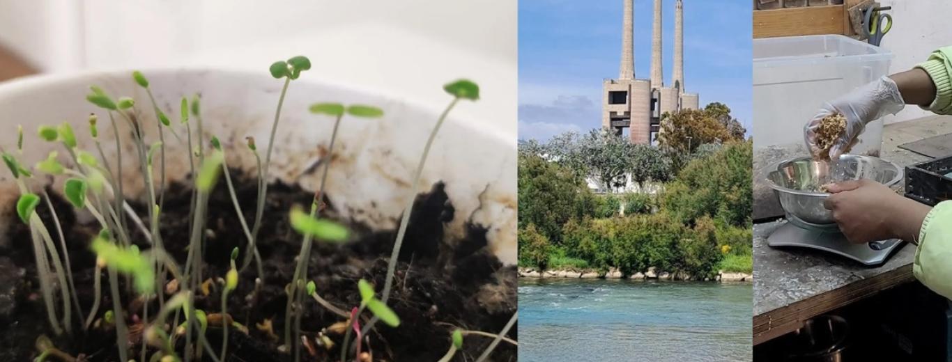 GreenInCities ciutats vives