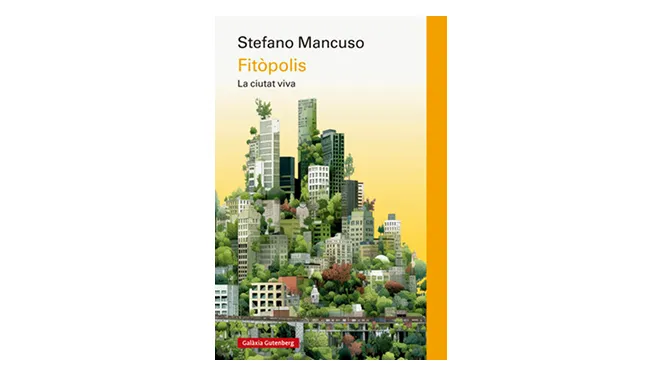 Img SantJordi24_7