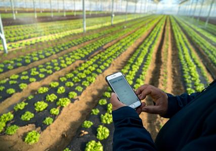 Imatge BCN Smart Rural