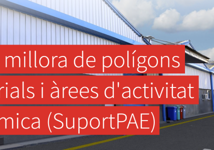 Imatge Suport PAE
