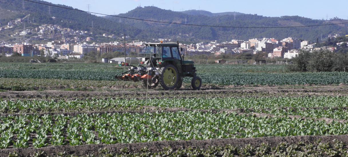 Foto del Parc Agrari